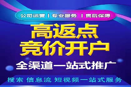 案例分析：百度竞价广告投放技巧